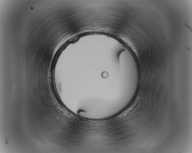 X0000097760928200804041122