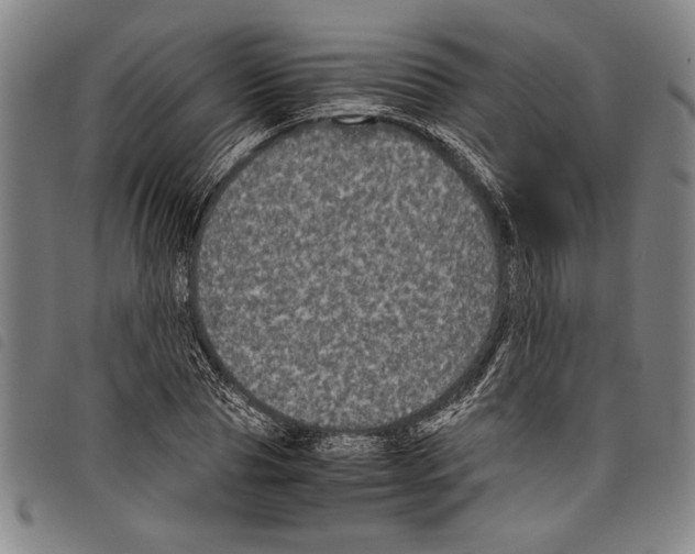 X0000097760929200804041122