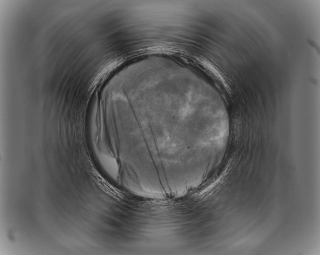 X0000097760930200804041122