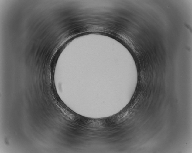 X0000097760931200804041122