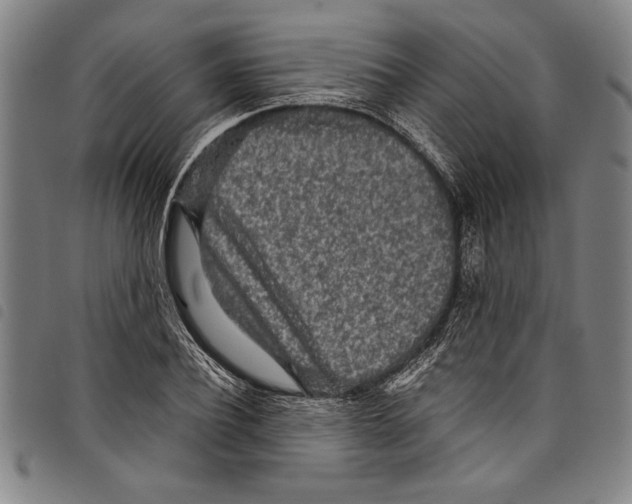 X0000097760932200804041122