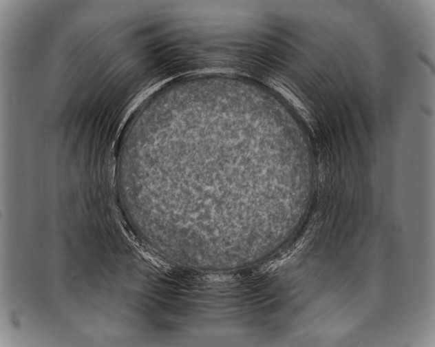 X0000097760933200804041122