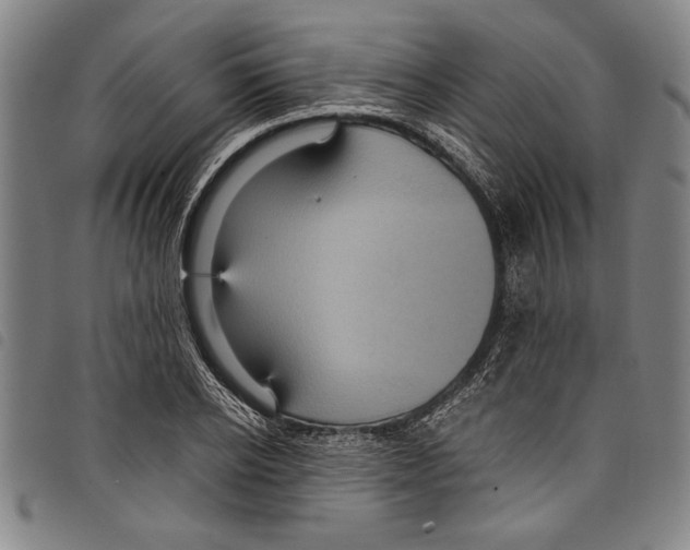 X0000097760934200804041122