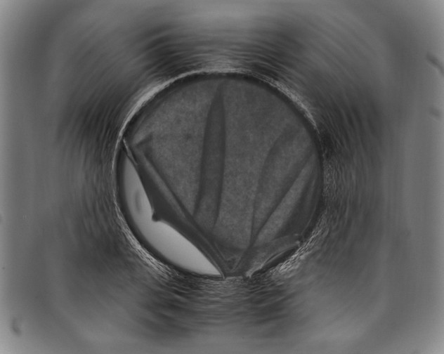 X0000097760935200804041122