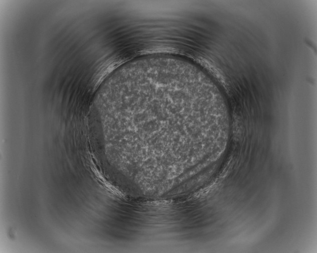 X0000097760937200804041122