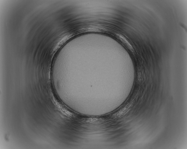 X0000097760938200804041122