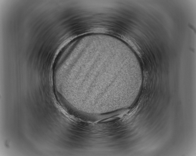 X0000097760939200804041122