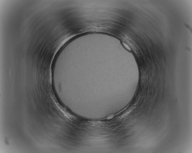 X0000097760940200804041122