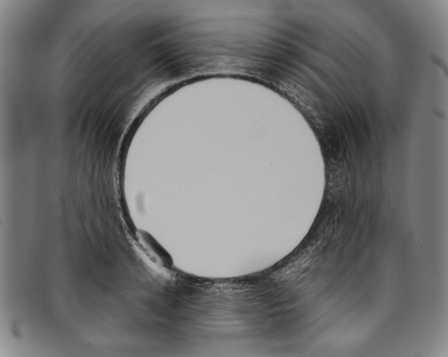 X0000097760942200804041122