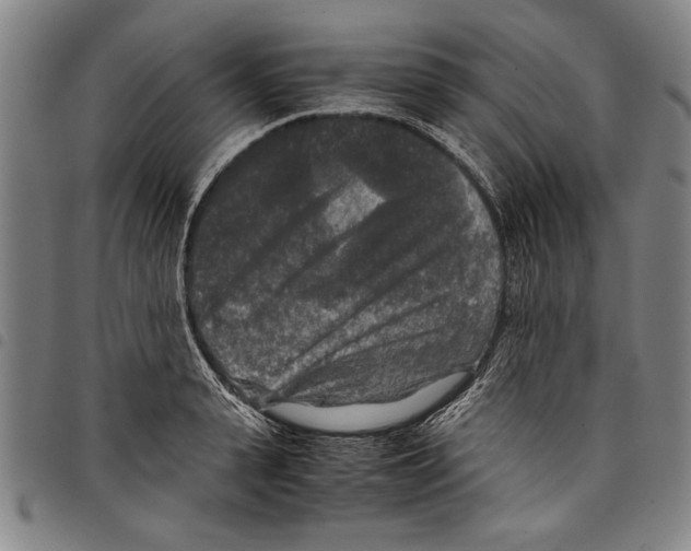 X0000097760943200804041122