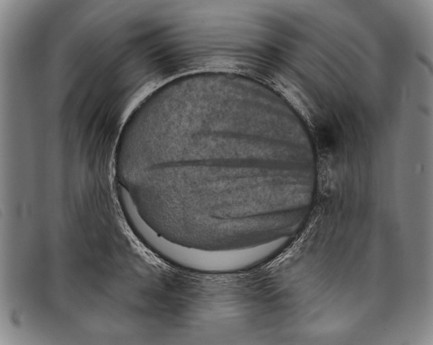 X0000097760944200804041122