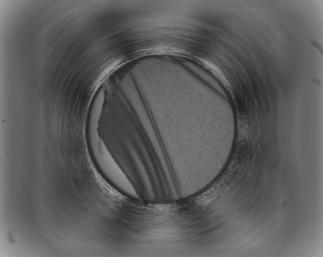 X0000097760946200804041122