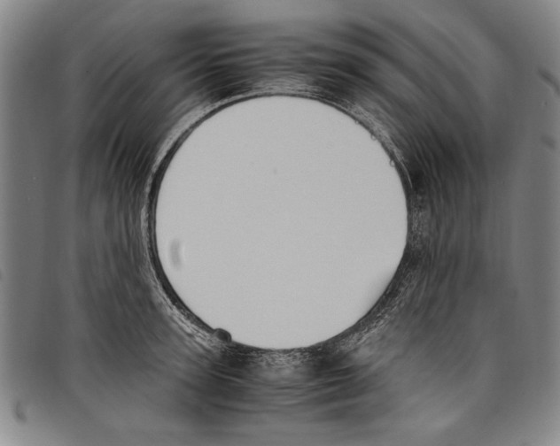 X0000097760947200804041122