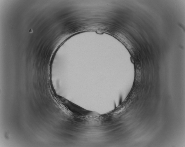 X0000097760948200804041122