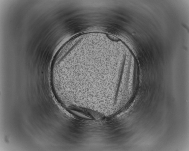 X0000097760949200804041122