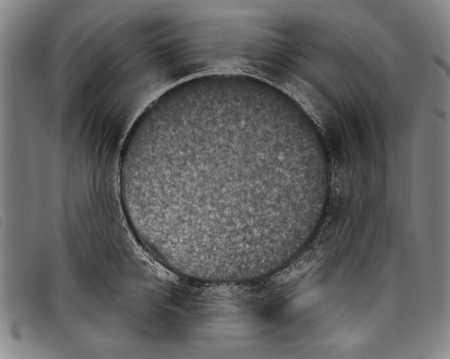 X0000097760950200804041122