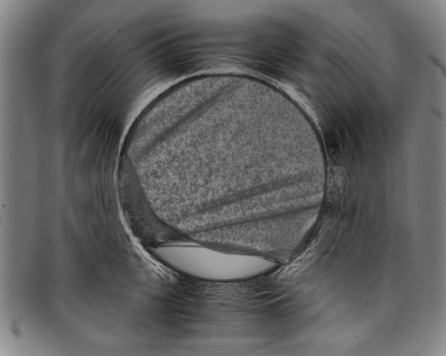 X0000097760951200804041122