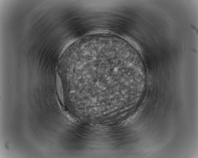 X0000097760953200804041123