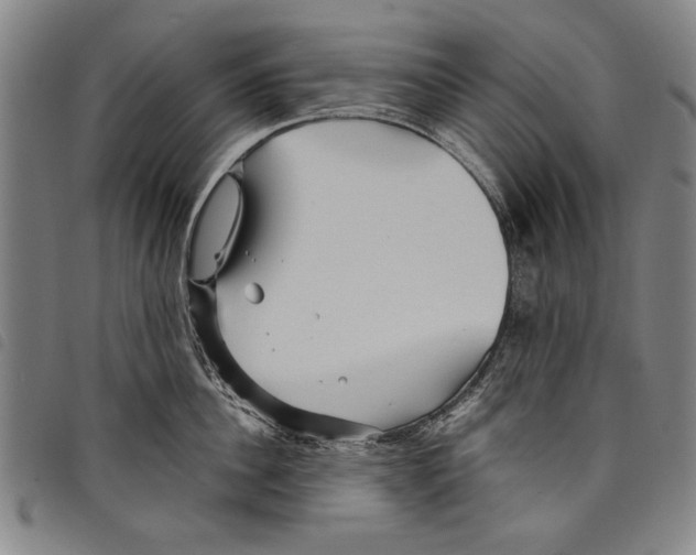 X0000097760956200804041123