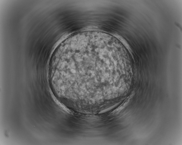 X0000097760957200804041123