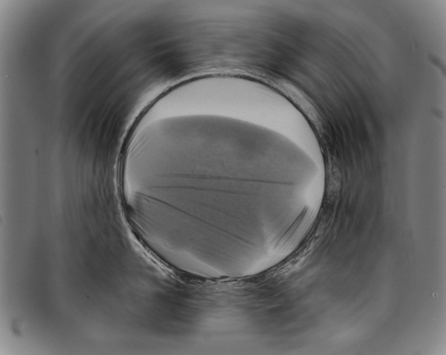 X0000097760958200804041123