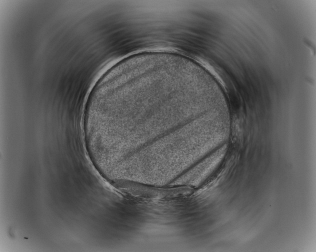 X0000097760959200804041123