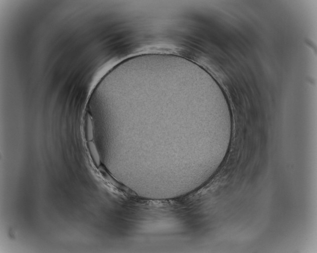 X0000097760960200804041123