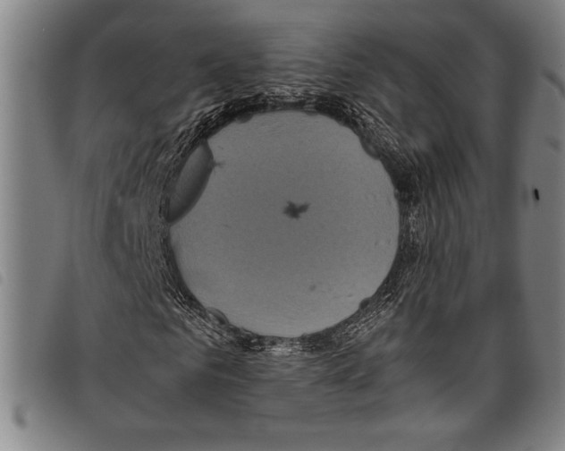 X0000097760961200804041122