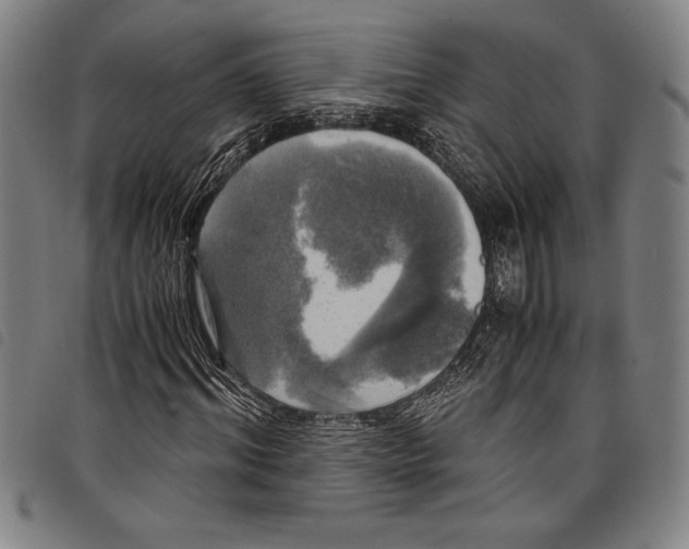 X0000097760964200804041122