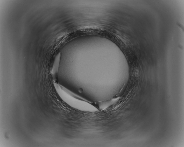 X0000097760965200804041122