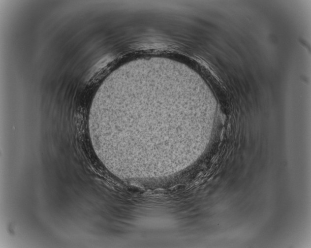 X0000097760967200804041122