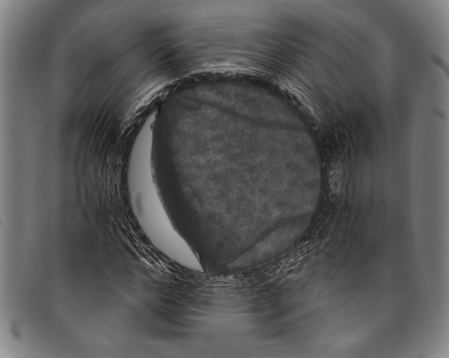 X0000097760968200804041122