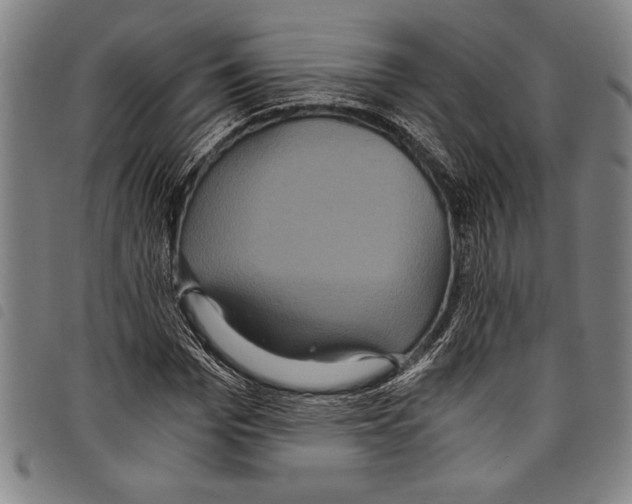 X0000097760969200804041122