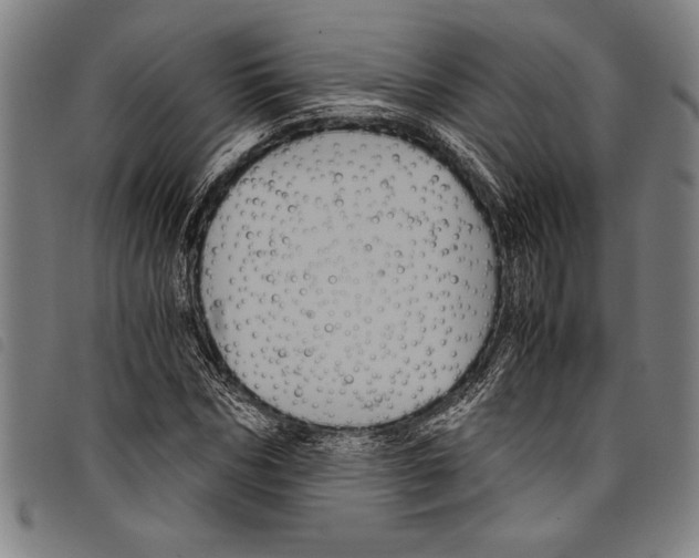 X0000097760970200804041122