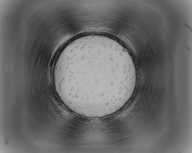 X0000097760974200804041122