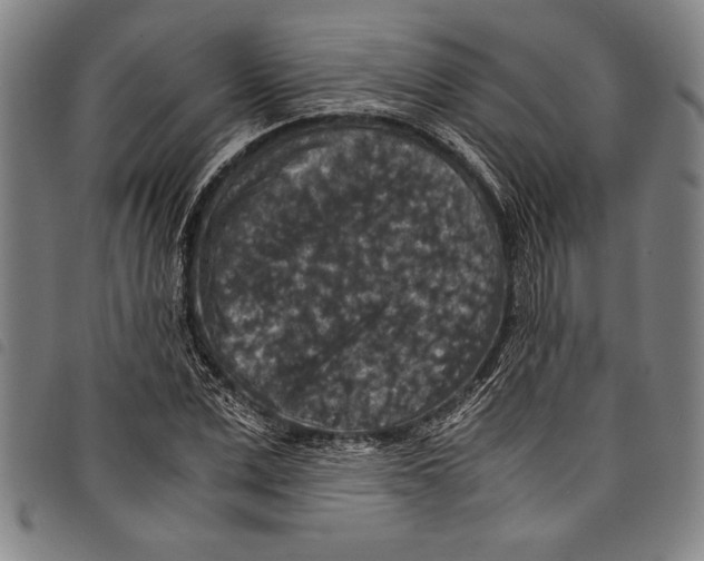 X0000097760975200804041122