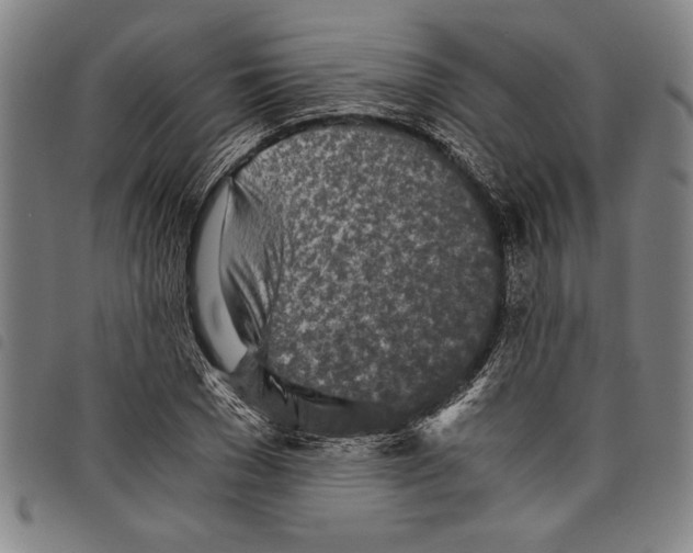 X0000097760977200804041122