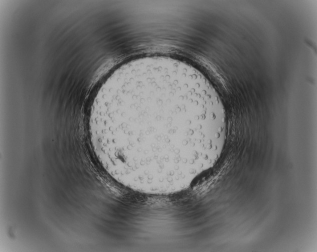 X0000097760978200804041122