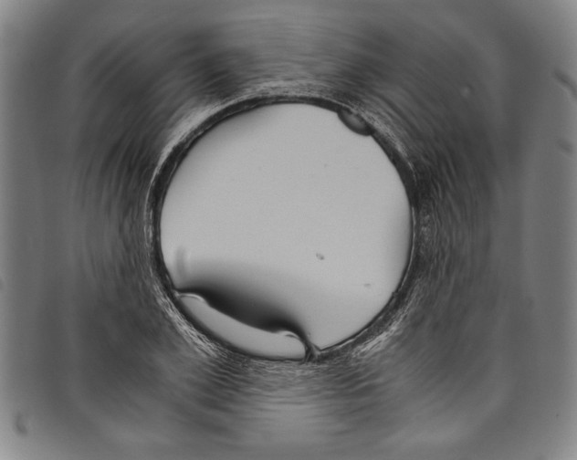 X0000097760981200804041122