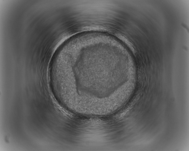 X0000097760983200804041122