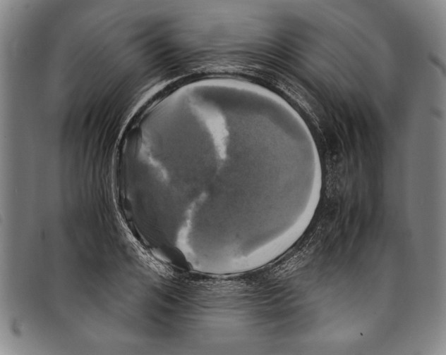 X0000097760984200804041122