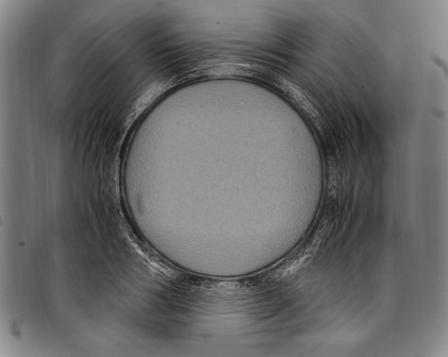 X0000097760986200804041122