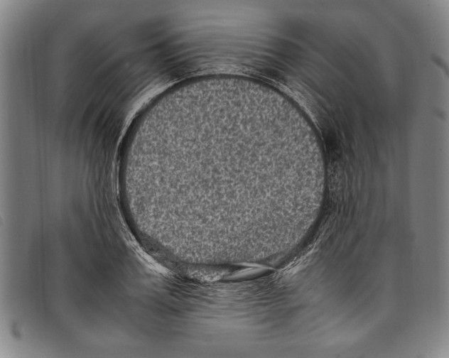 X0000097760987200804041122