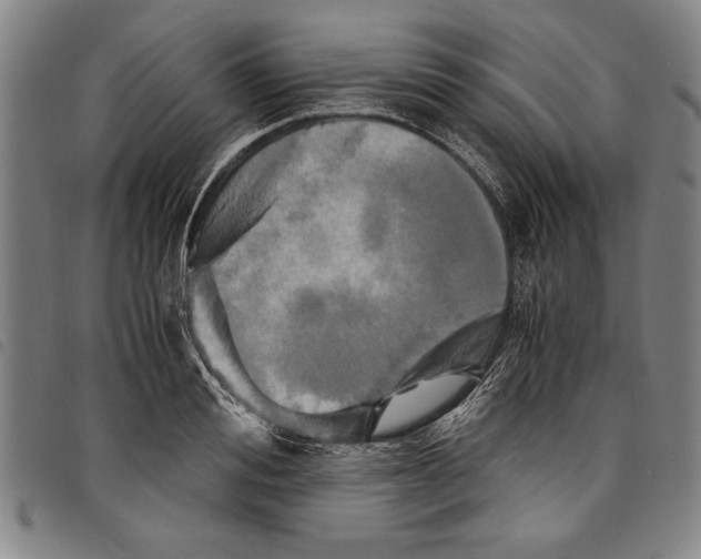 X0000097760988200804041122