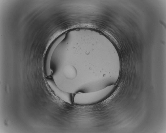 X0000097760989200804041122