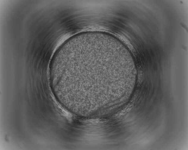 X0000097760990200804041122