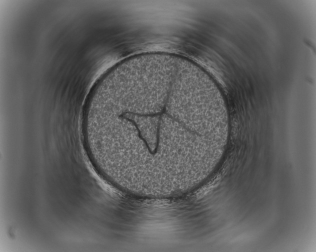 X0000097760991200804041122