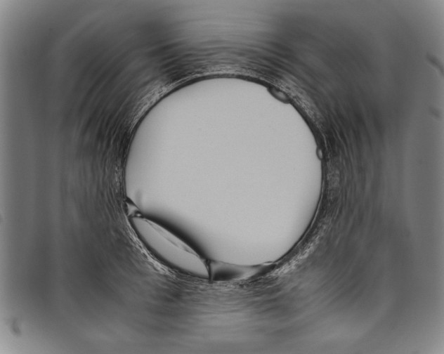 X0000097760993200804041121