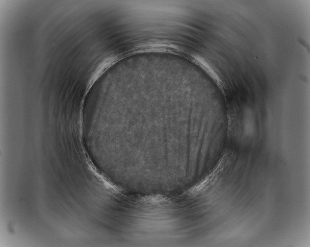 X0000097760994200804041121