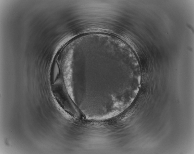 X0000097760995200804041121